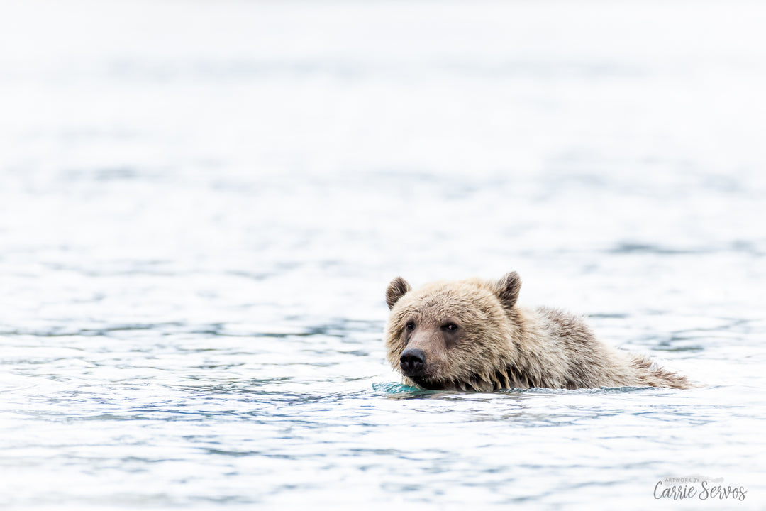 Don't Get Spooked in the Water photograph by Carrie Servos