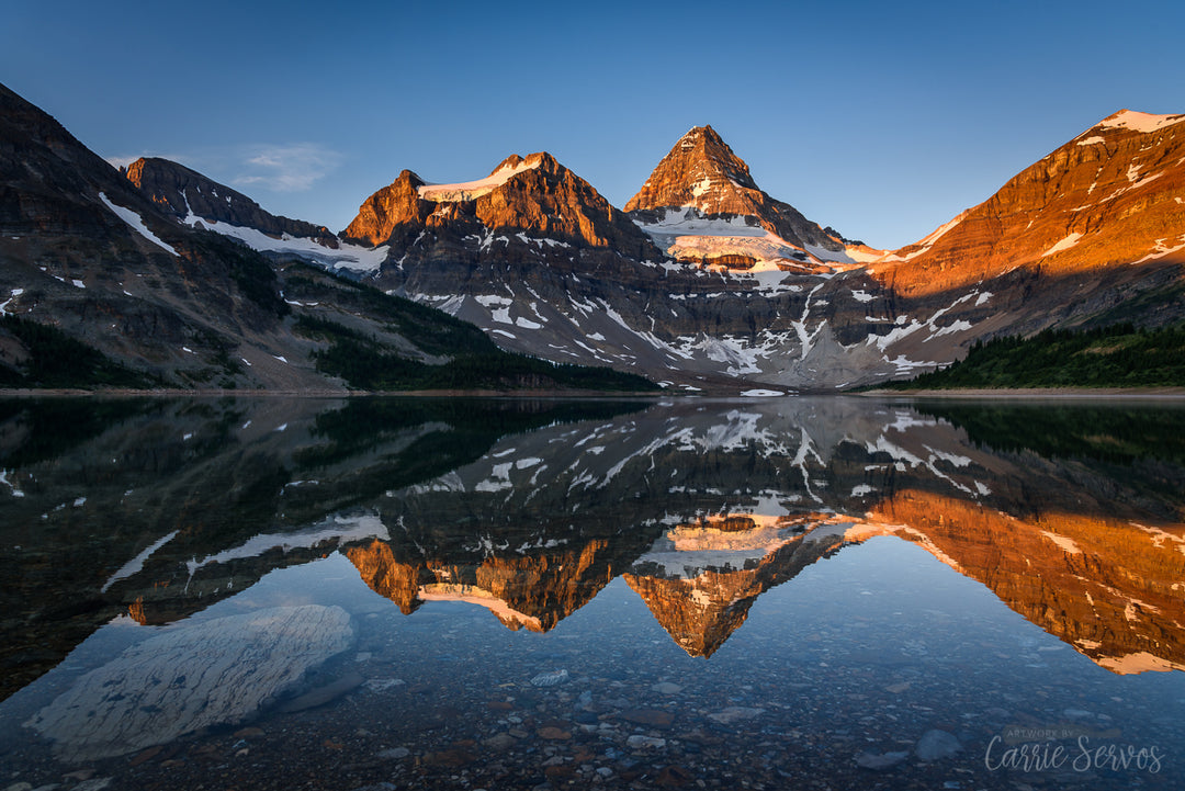 Morning Glow Mount Assiniboine photograph by Carrie Servos